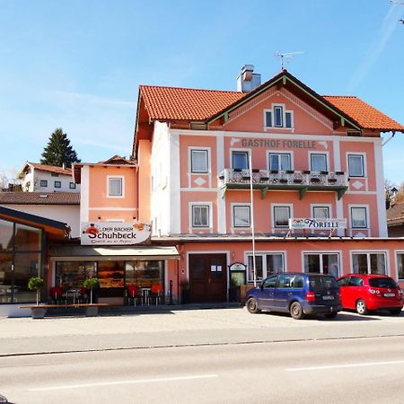 سيغزدورف Hotel Gasthof Forelle المظهر الخارجي الصورة