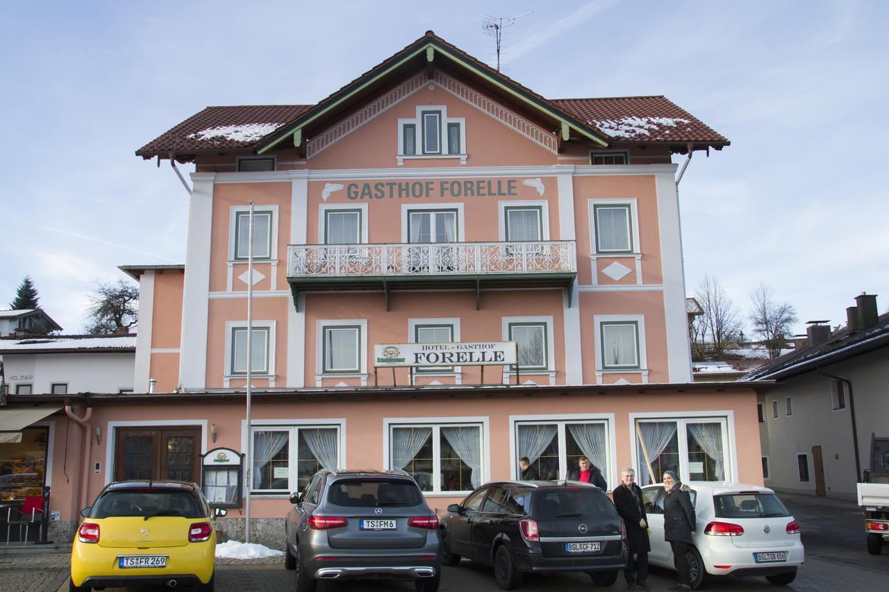 سيغزدورف Hotel Gasthof Forelle المظهر الخارجي الصورة